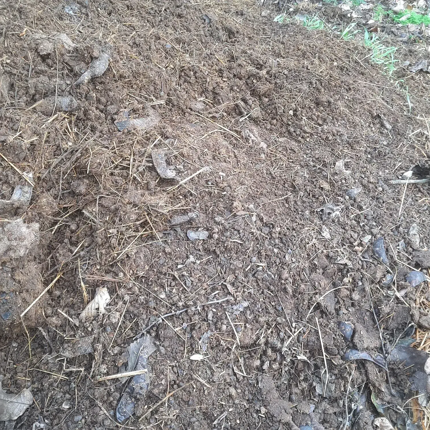 کود حیوانی|خدمات باغبانی و درختکاری|املش, |دیوار