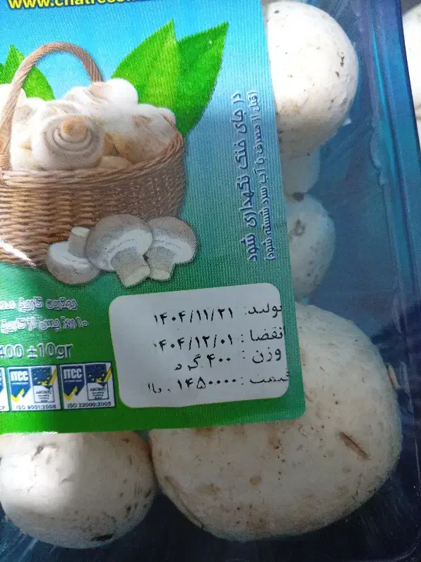 قارچ خوراکی|خوردنی و آشامیدنی|رشت, کوی طالقانی|دیوار