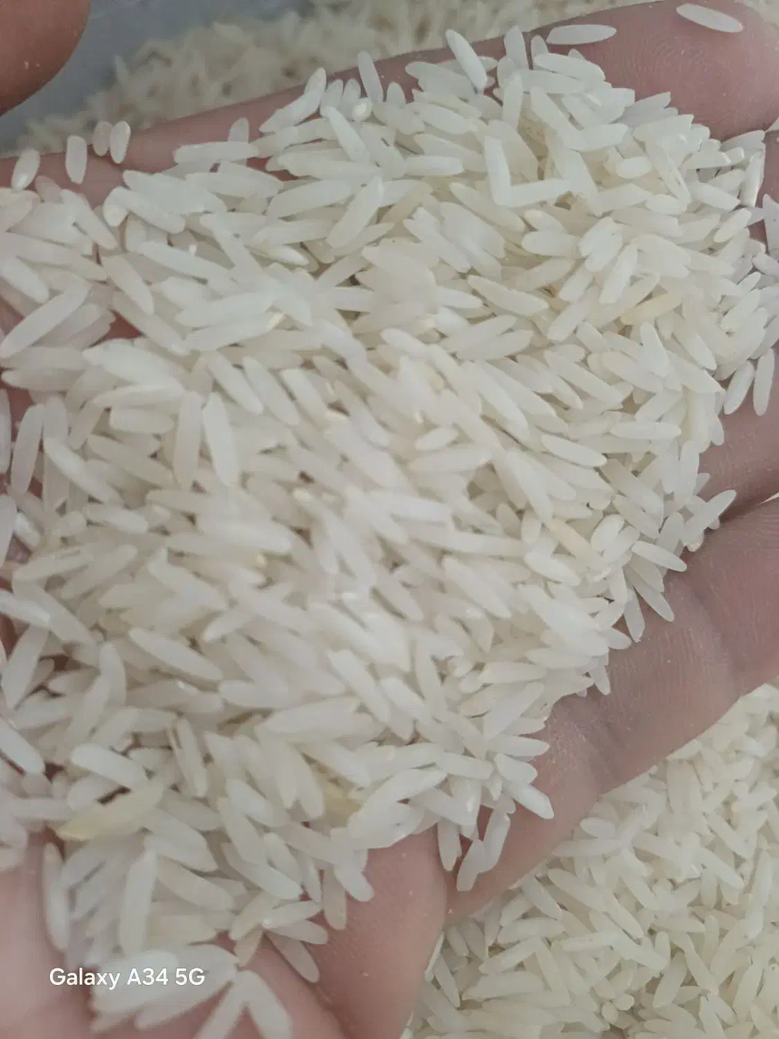 برنج شرکتی/ انتخاب ویژه هاشمی ایران و تاجیکستان|خوردنی و آشامیدنی|گرمدره, |دیوار