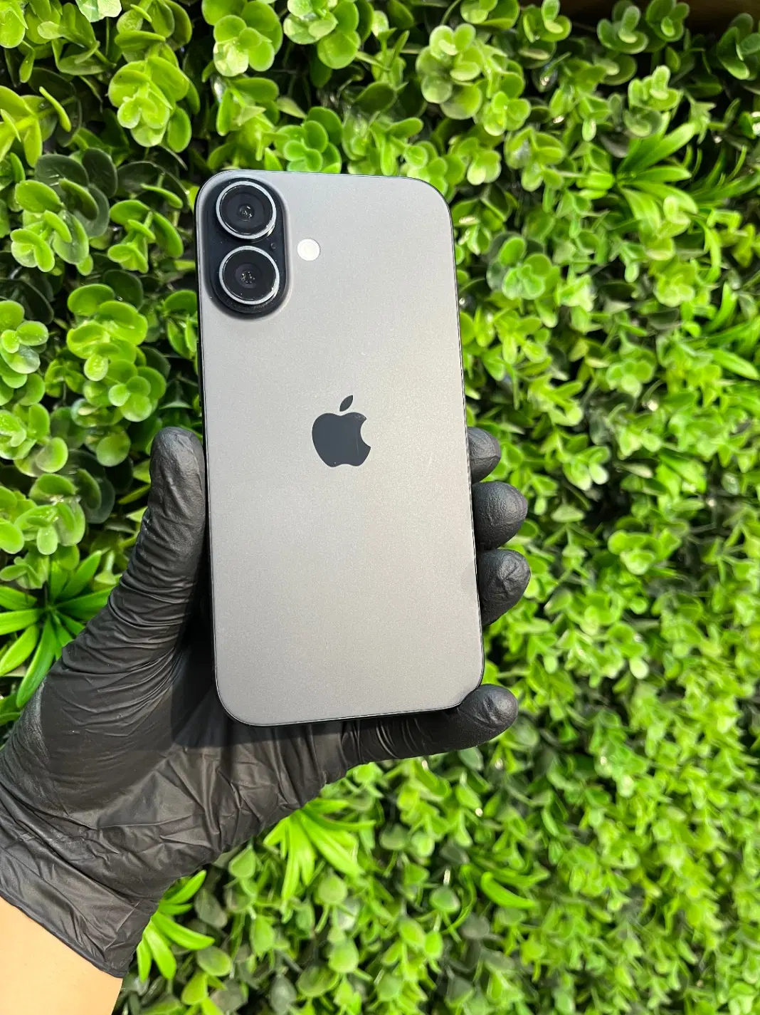 iPhone 16 Normal 128GB|موبایل|قم, بلوار امین و ساحلی|دیوار
