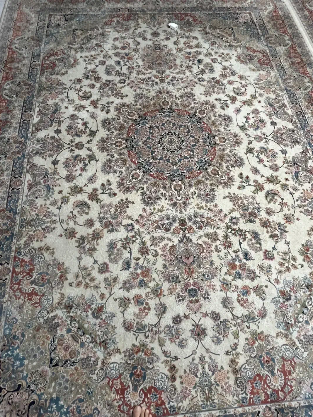 فرس ۹ متری ۲ عدد|فرش|قدس, شهرقدس|دیوار