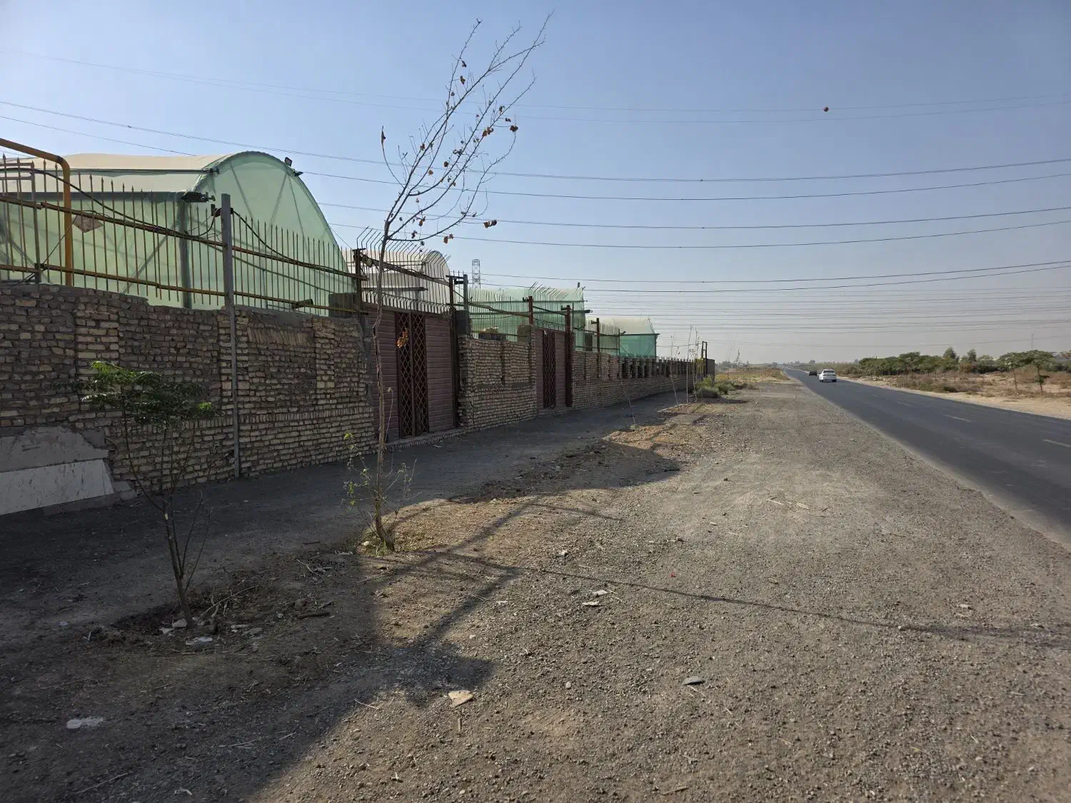 گلخانه فروش در حال کشت خیار|فروش دفتر صنعتی، کشاورزی، تجاری|خاوران, |دیوار