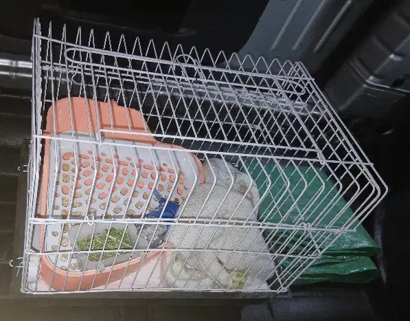 قفس و پارک خرگوش و یونجه|لوازم جانبی حیوانات|تهران, دریا|دیوار