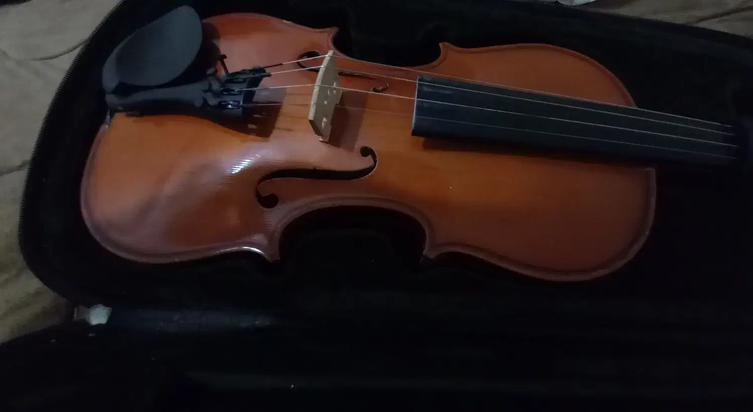 فروش ویولن|ویولن|دهدشت, |دیوار