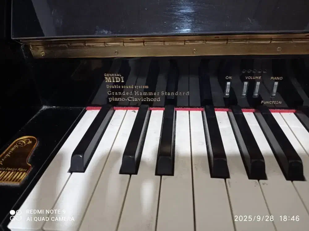 پیانو|پیانو، کیبورد، آکاردئون|تنکابن, |دیوار