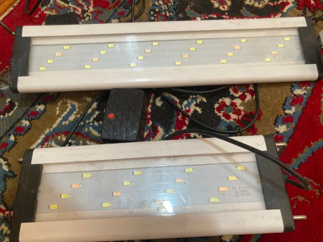 لامپ ال ای دی آکواریوم|لامپ و چراغ|کرمان, |دیوار