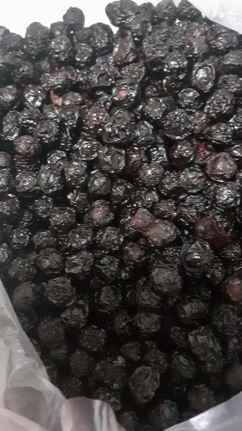 خشکبار|خوردنی و آشامیدنی|تهران, مسگرآباد|دیوار