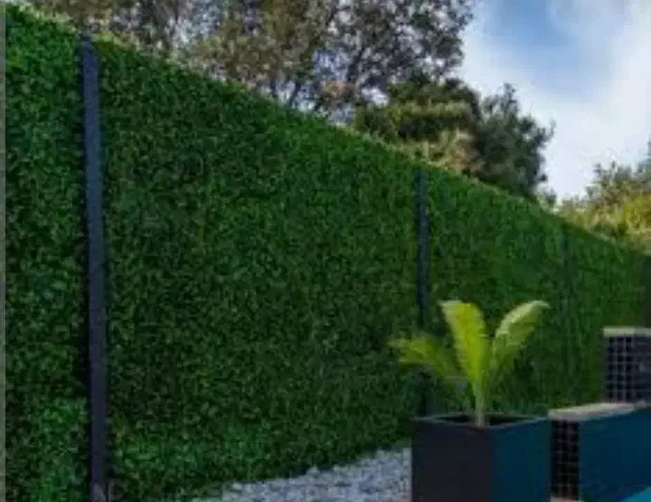 هرس شمشادوغیره|خدمات باغبانی و درختکاری|کیش, |دیوار