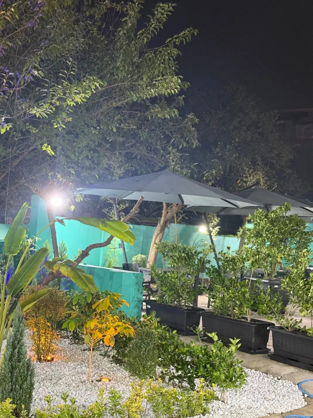 منقل کار کباب زن|استخدام خدمات فروشگاه و رستوران|قائم‌شهر, |دیوار