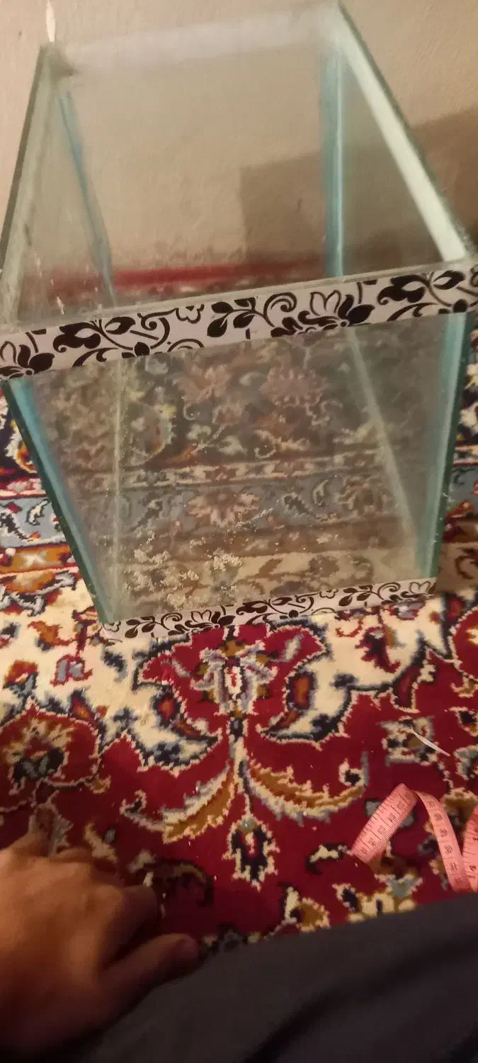 آکواریوم|ماهیگیری|تویسرکان, |دیوار