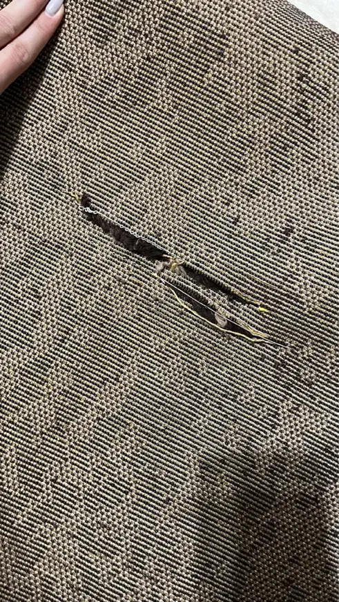 فرش|فرش|رشت, کاکتوس|دیوار