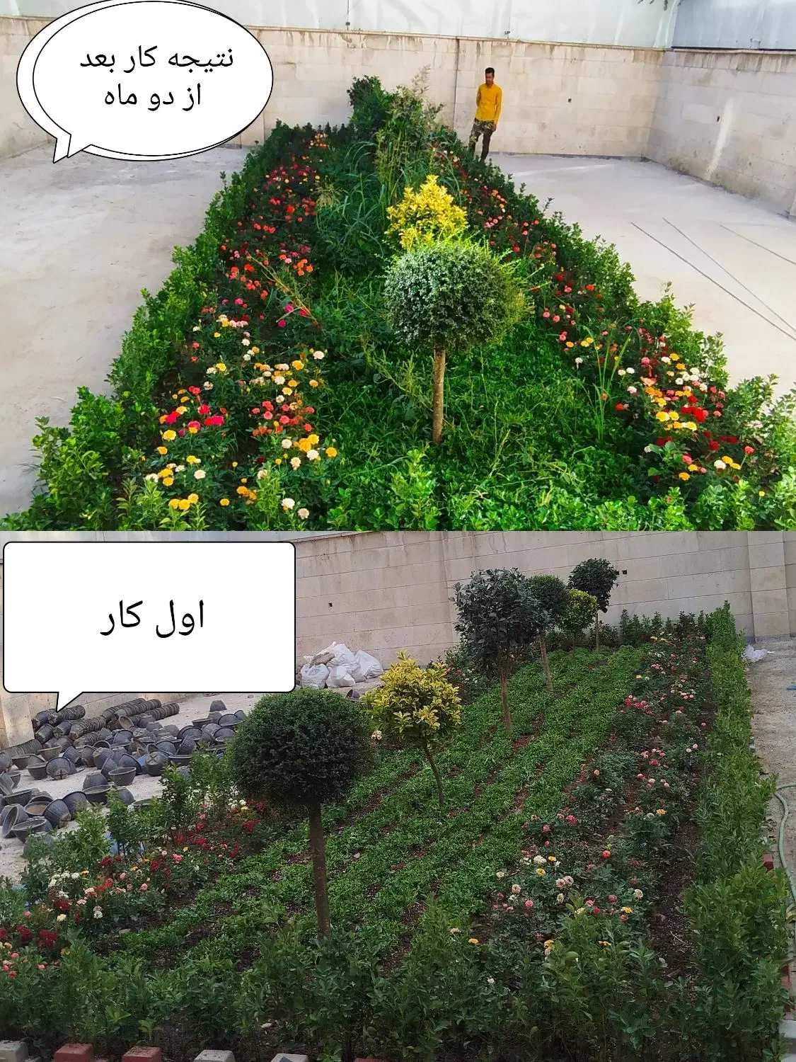 خدمات تخصصی باغبانی در محل شما|خدمات باغبانی و درختکاری|تهران, فلسطین (میدان انقلاب)|دیوار