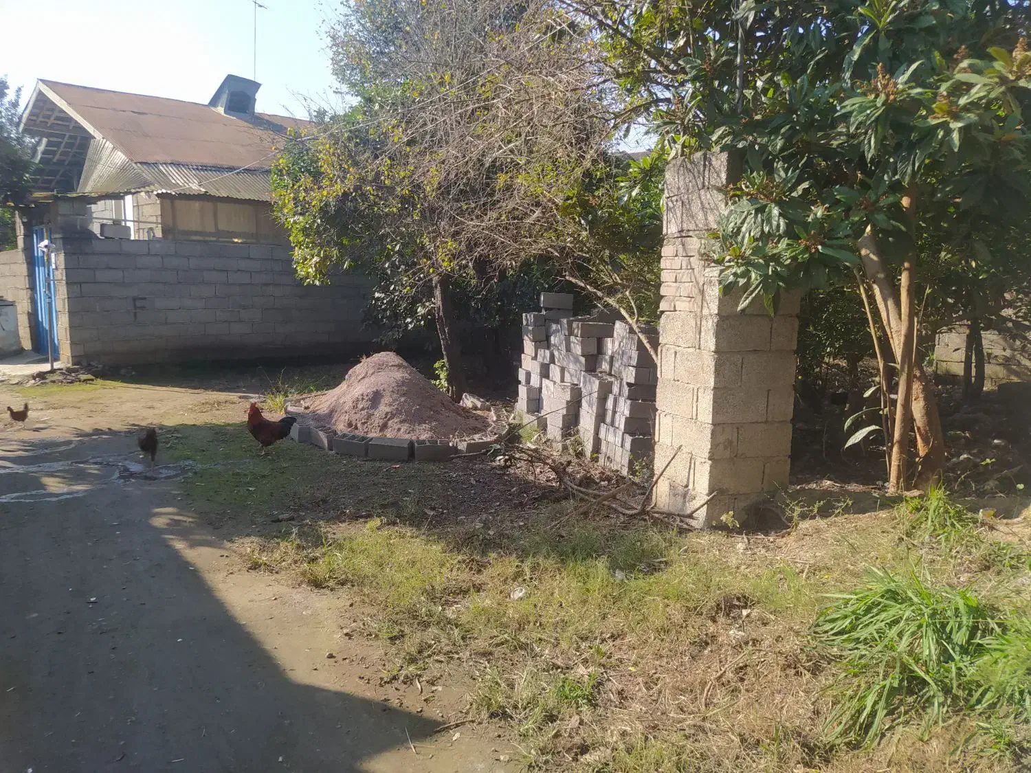 ۱۰۰ متر زمین مسکونی با بر عالی قیمت مناسب ۱۱۰۰|فروش زمین و ملک کلنگی|لنگرود, |دیوار