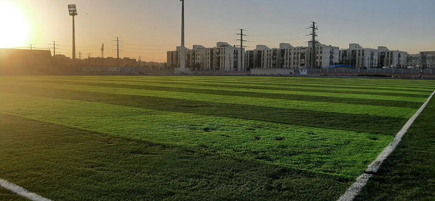 چمن مصنوعی فوتبال تزئینی کف پوش ورزش نصب اجراوفروش|گل مصنوعی|تهران, فردوس|دیوار