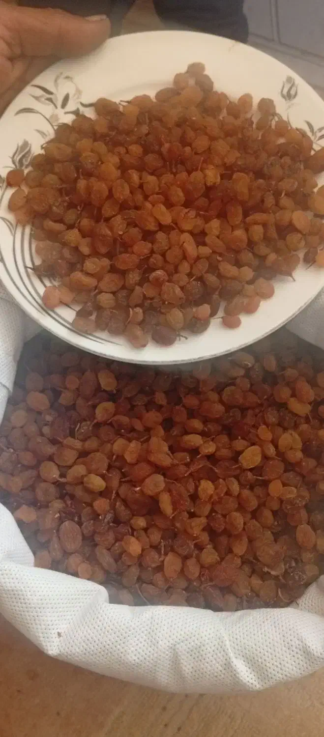 کشمش|عمدهفروشی|بجنورد, |دیوار