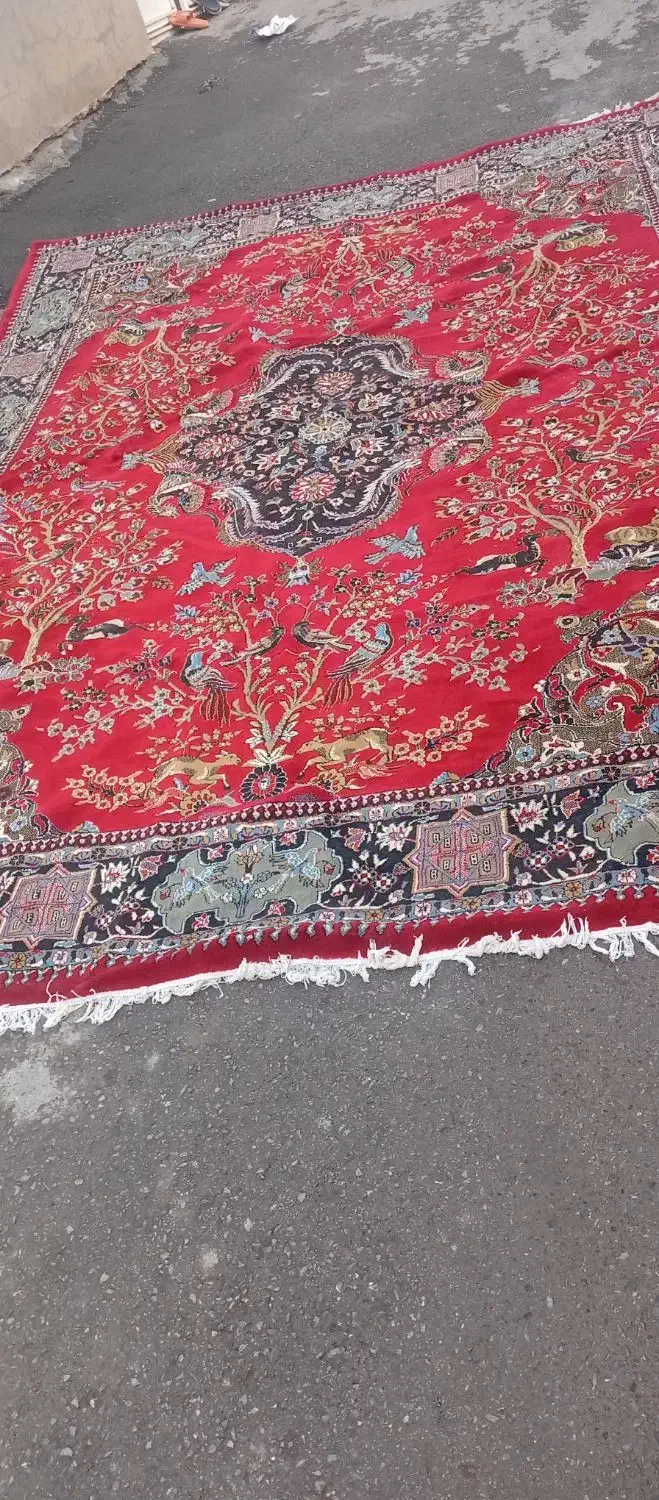 مهاباد|فرش|مهاباد (آذربایجان غربی), |دیوار