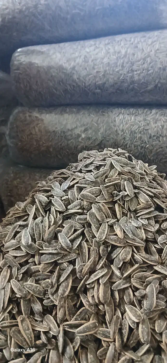تخمه گل افتاب|خوردنی و آشامیدنی|قم, کلهری|دیوار