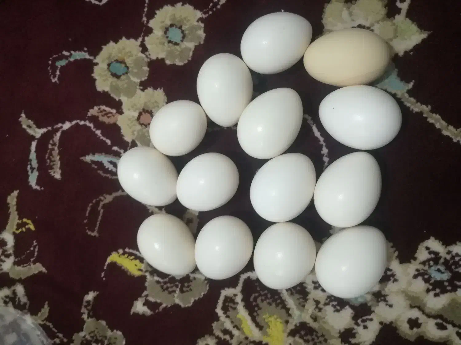 تخم مرغ گلین ریشی|خوردنی و آشامیدنی|فامنین, |دیوار