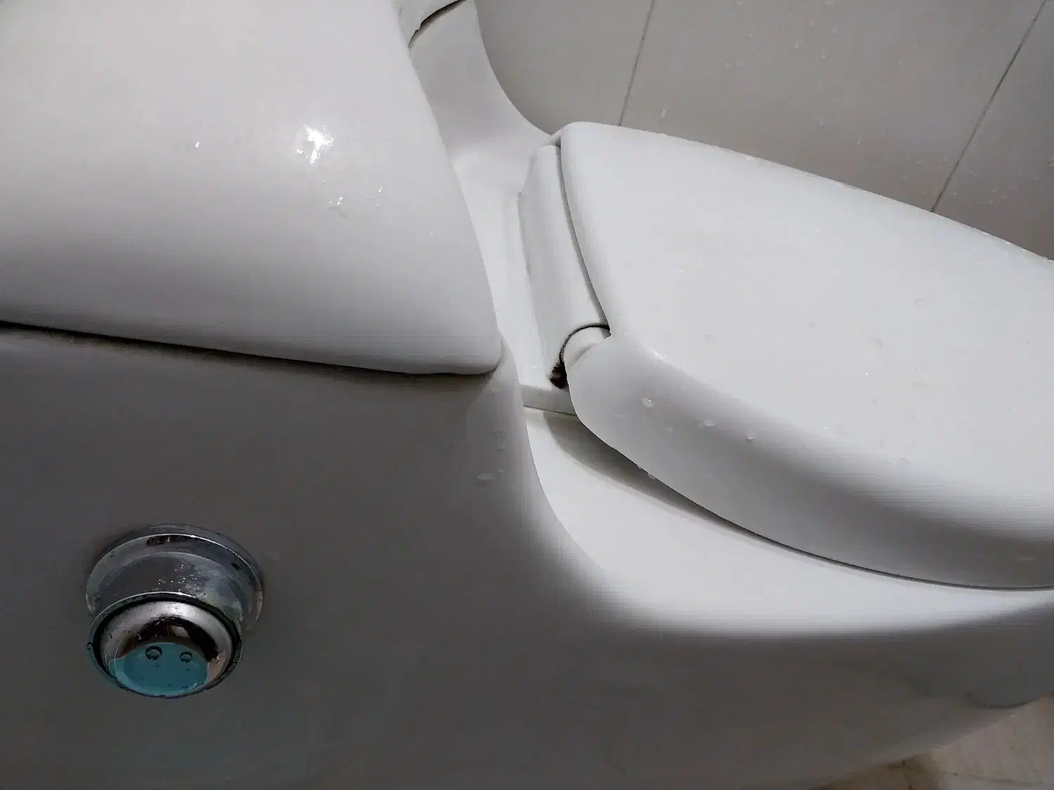 توالت فرنگی|لوازم سرویس بهداشتی|محمدشهر, ولدآباد|دیوار