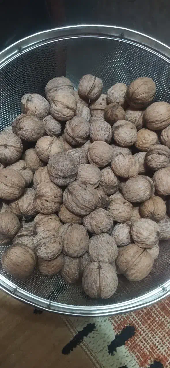 گردو استانه|خوردنی و آشامیدنی|دامغان, |دیوار