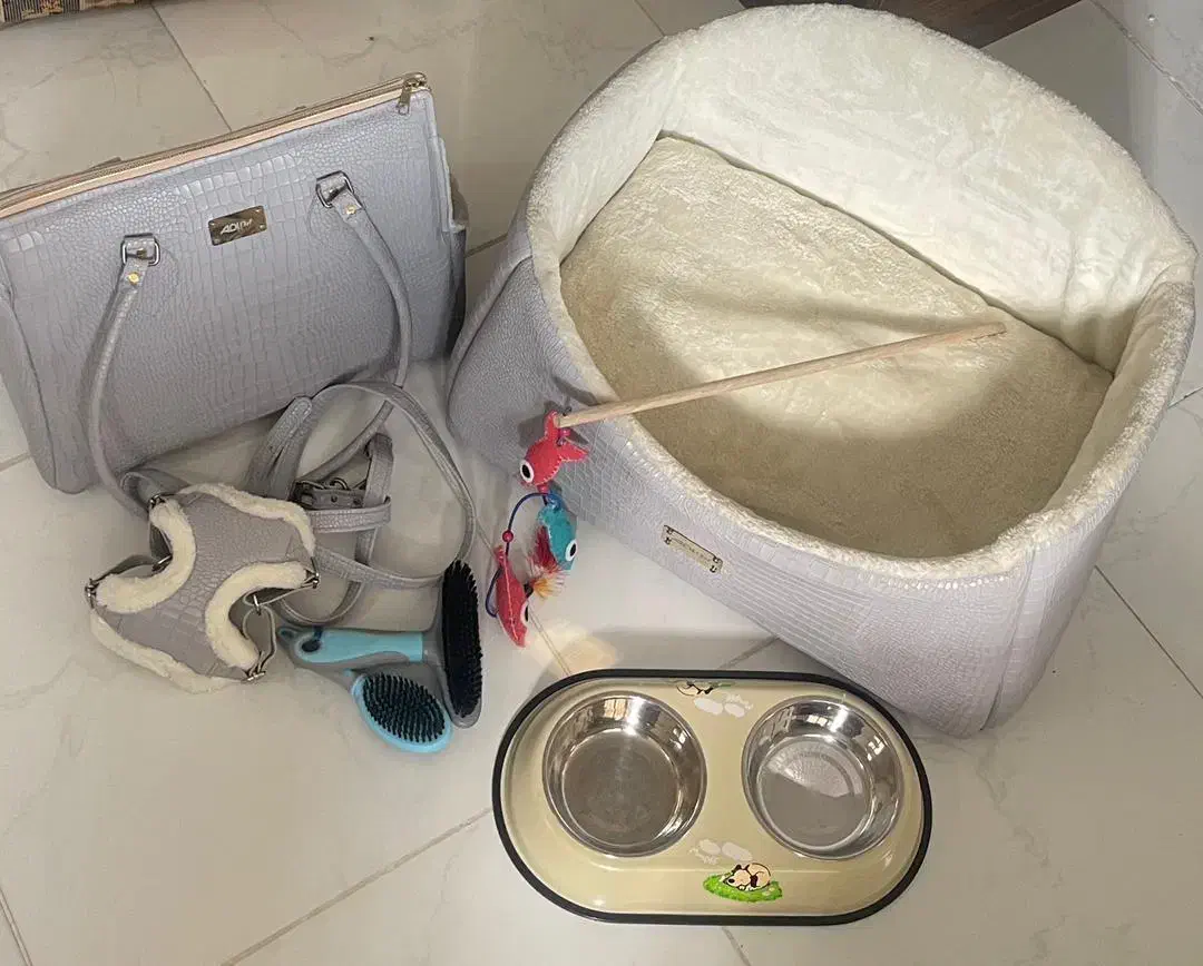 وسیله سگ و گربه|لوازم جانبی حیوانات|قدس, شهرقدس|دیوار