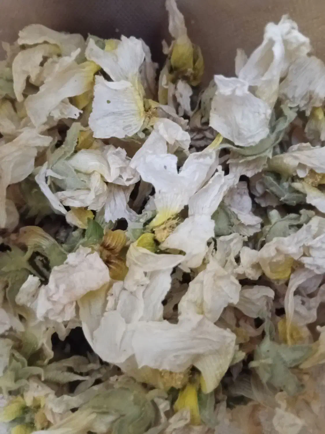 گل ختمی کیلویی ۲۰۰ هزار تومن خشک ، سفید و درجه یک|آرایشی، بهداشتی، درمانی|همدان, |دیوار