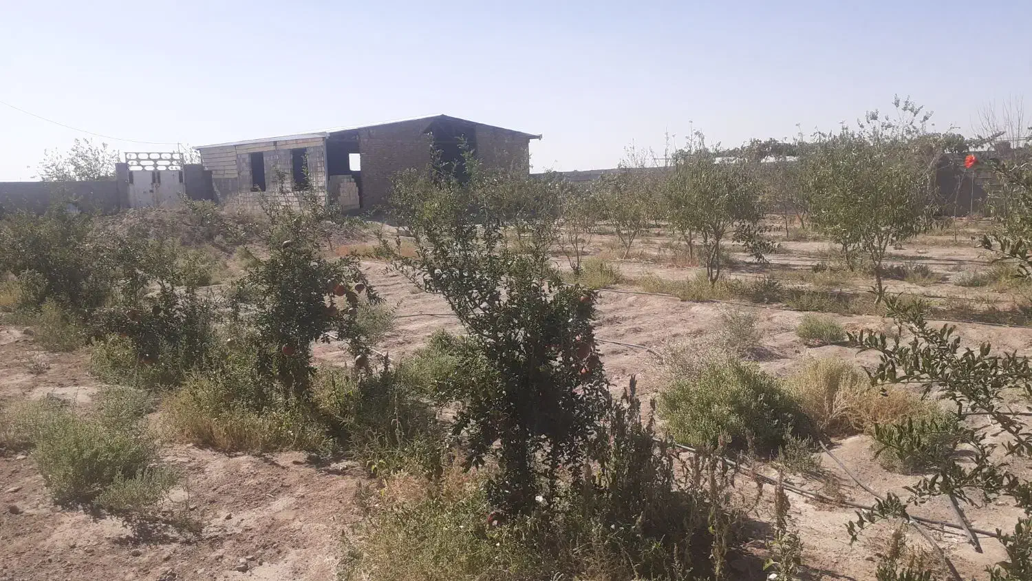 خانه باغ فروشی|فروش خانه و ویلا|زید آباد, |دیوار