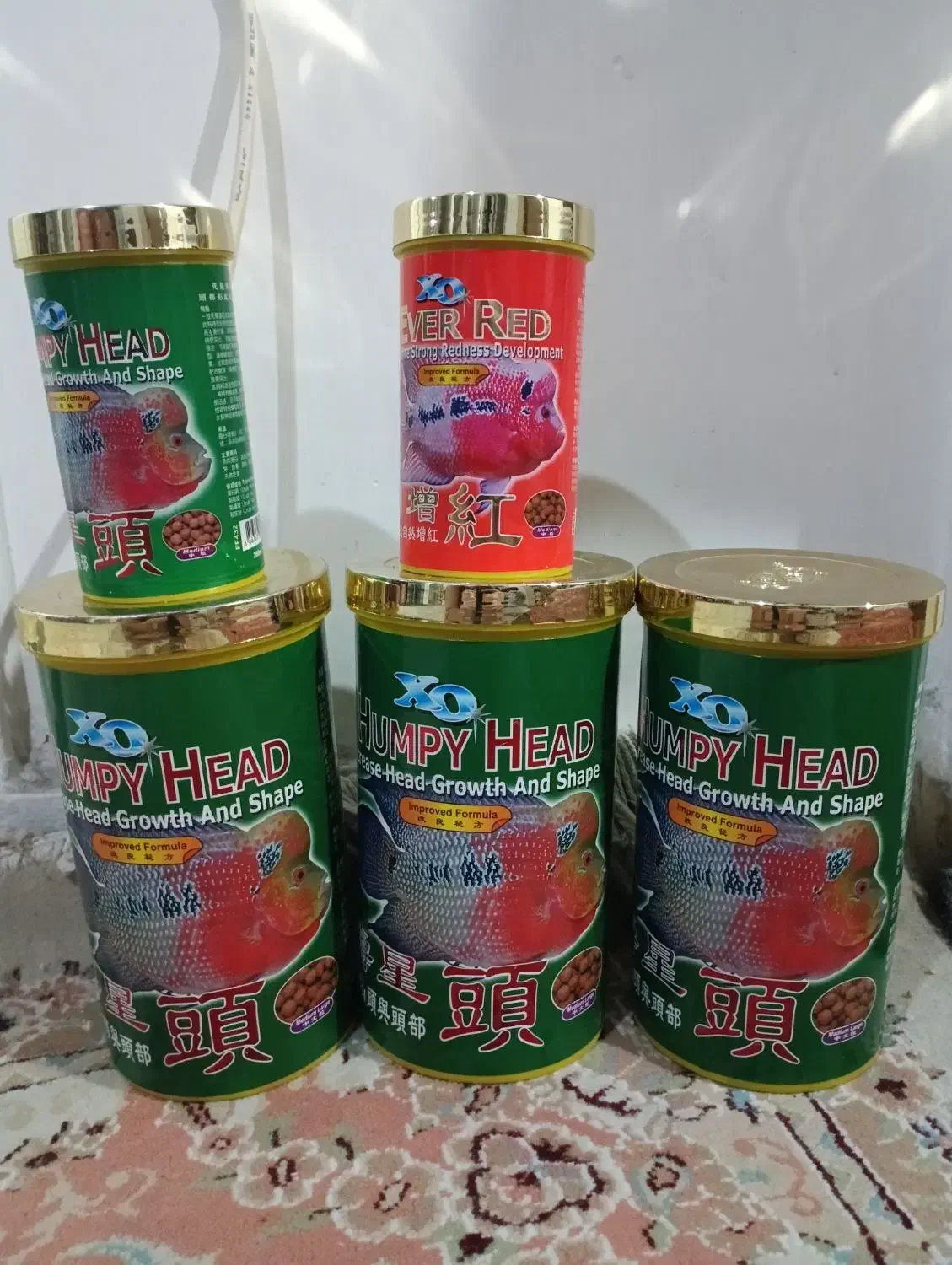 غذا فلاور|ماهی|تهران, جیحون|دیوار