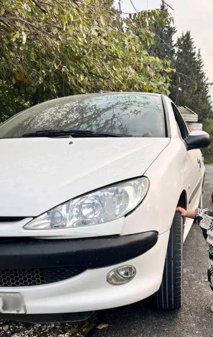 206 sd.v8|خودرو سواری و وانت|بهشهر, |دیوار