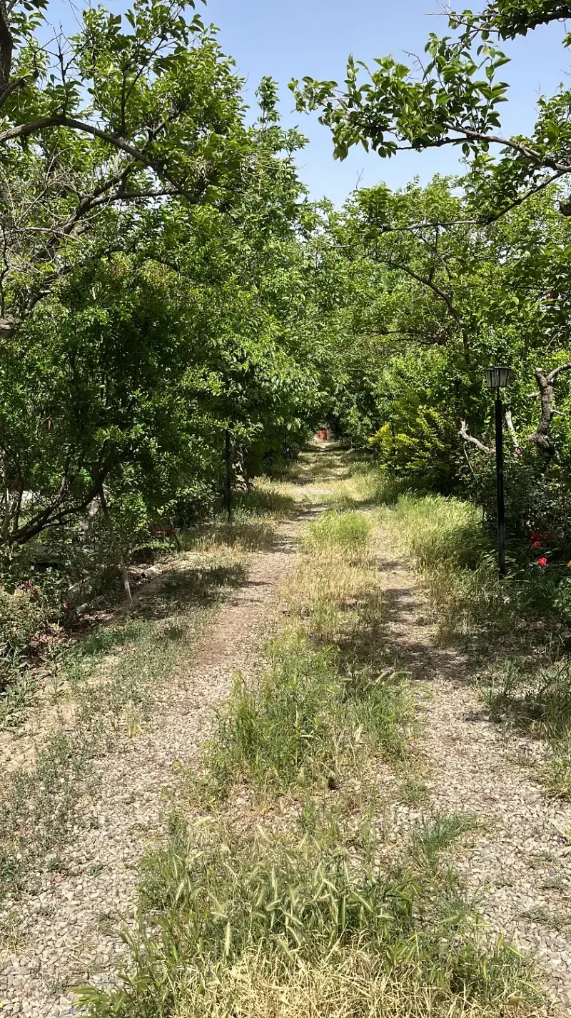 باغ ۶۰۰ هزار متری فیروز بهرام|فروش زمین و ملک کلنگی|چهاردانگه (تهران), |دیوار