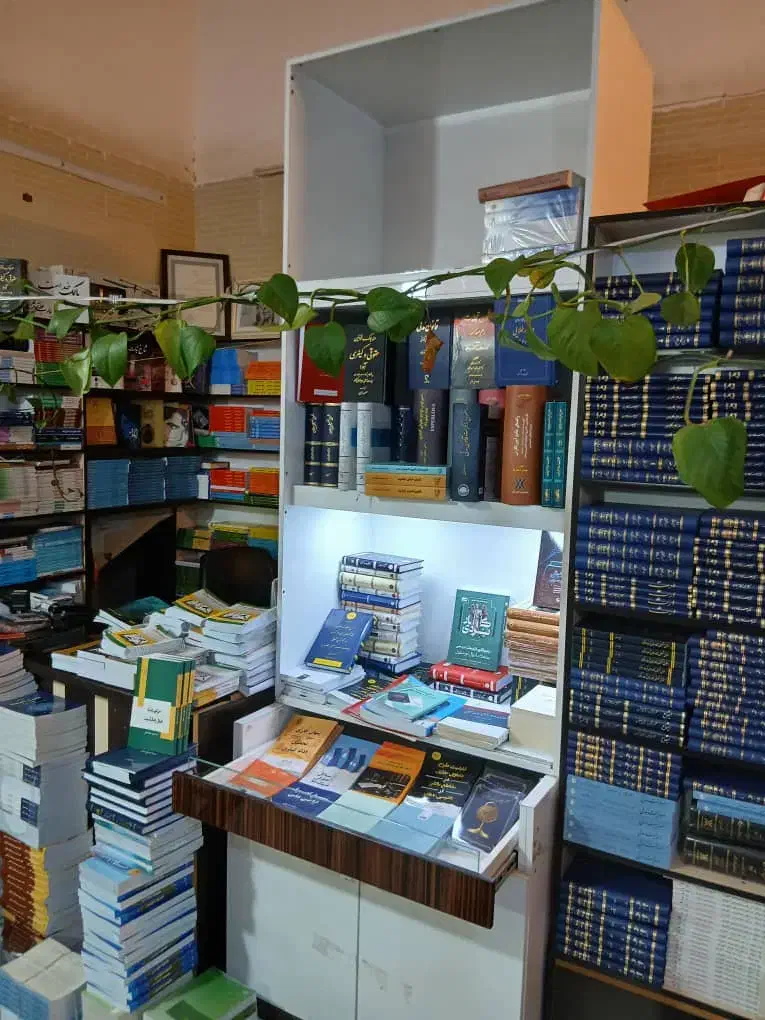 دکور خاص|کتابخانه، شلف، قفسه‌های دیواری|بوشهر, |دیوار