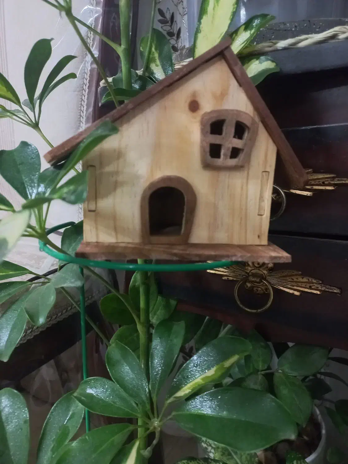 کلبه ی چوبی کوچولو دست ساز|اسباب‌‌بازی|برخوار, |دیوار