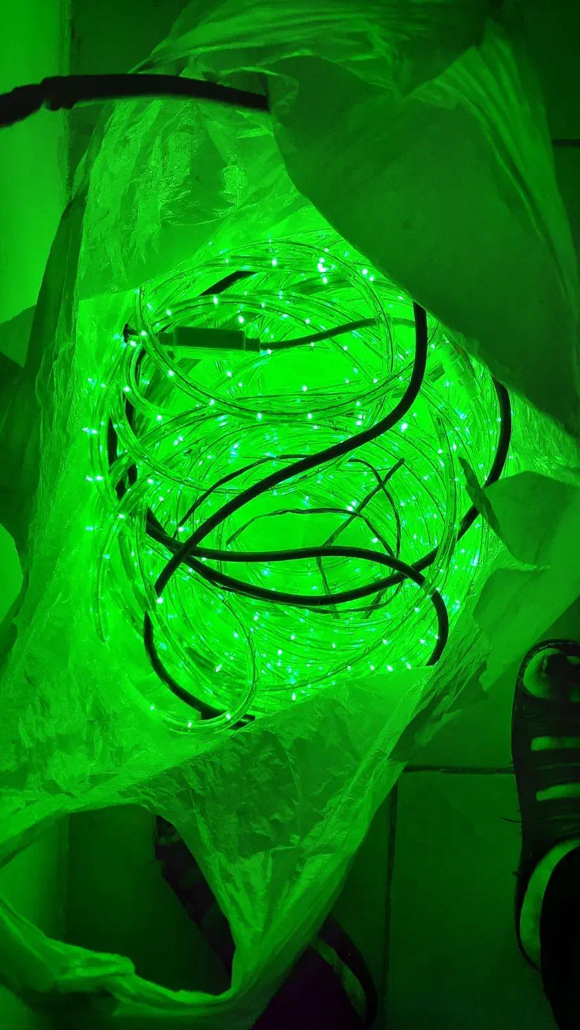 لامپ ریسه ای|ریسه و چراغ تزئینی|ارومیه, |دیوار