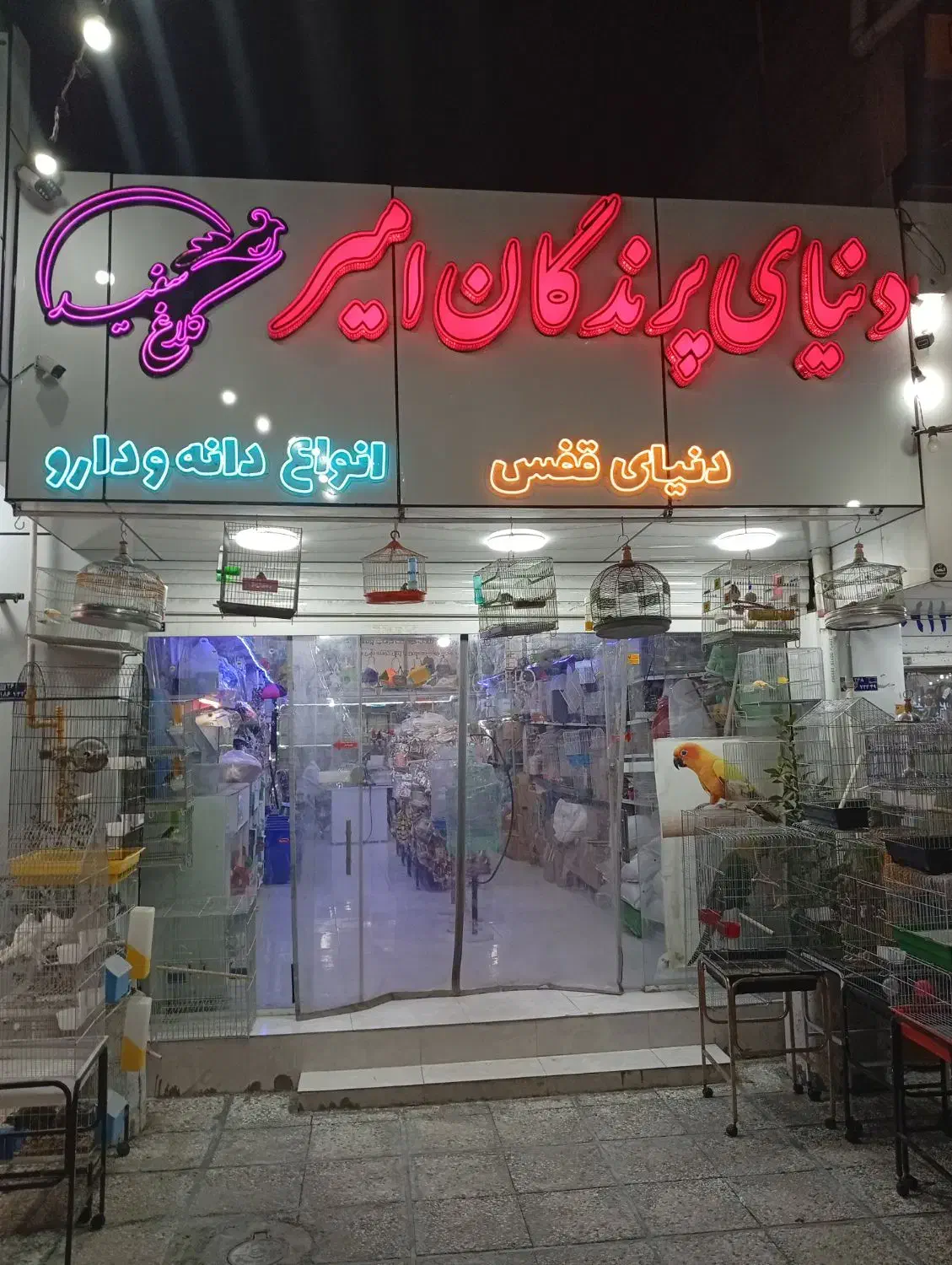 دستگاه جوجه کشی هدایت|لوازم جانبی حیوانات|سیرجان, |دیوار