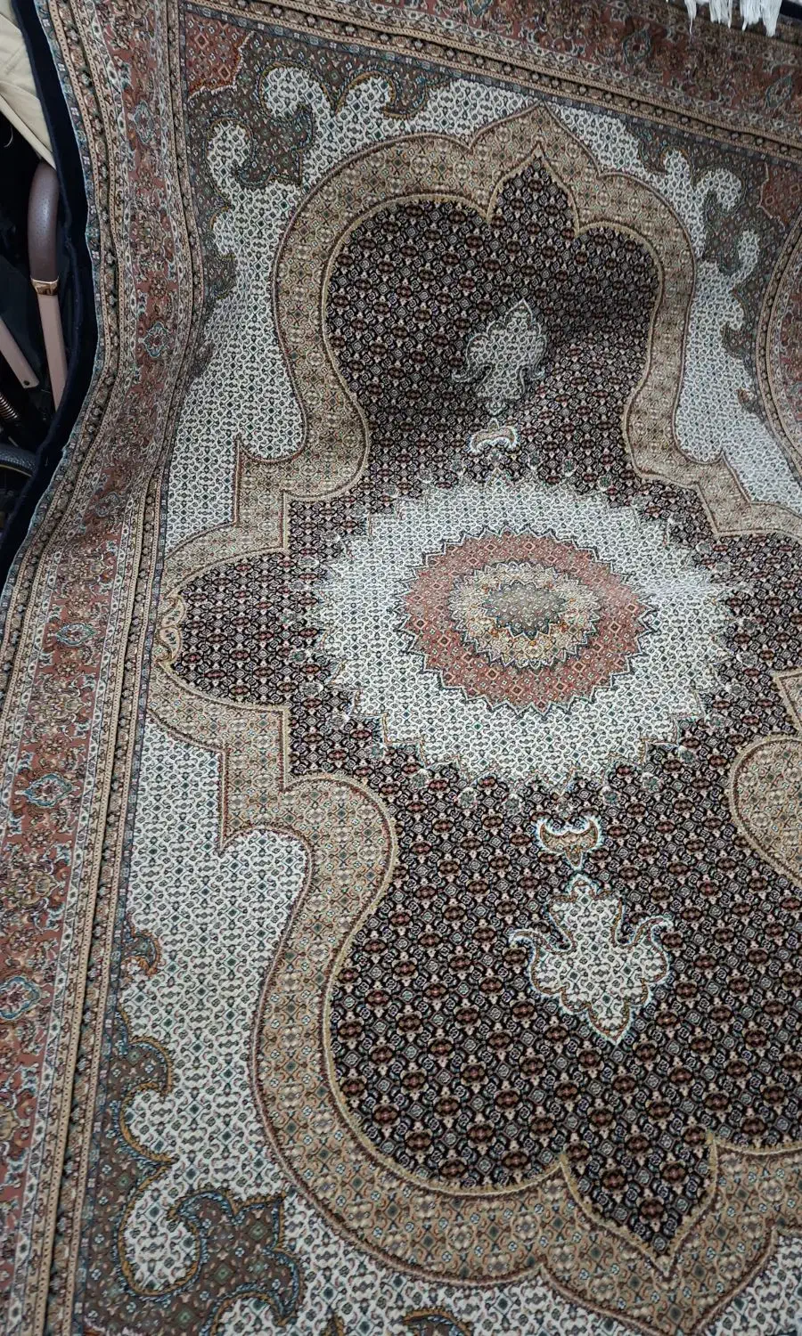 فرش ۶متری شاه ماهی|فرش|رشت, گلسار|دیوار