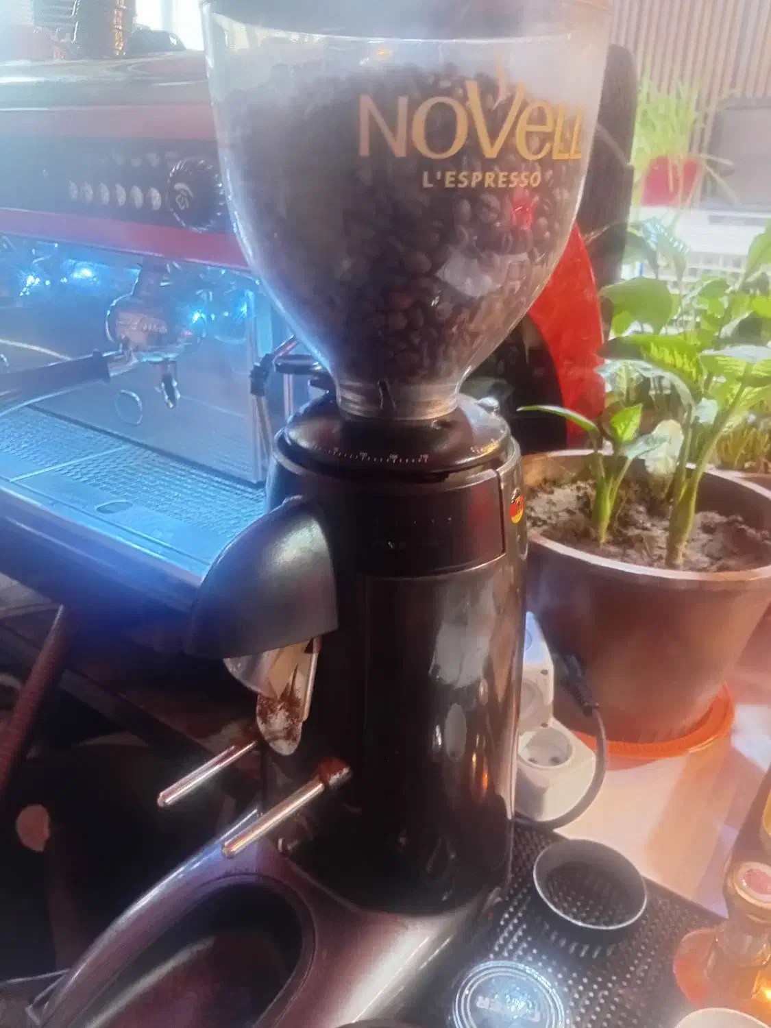 کافه|کافی‌شاپ و رستوران|ایلام, |دیوار