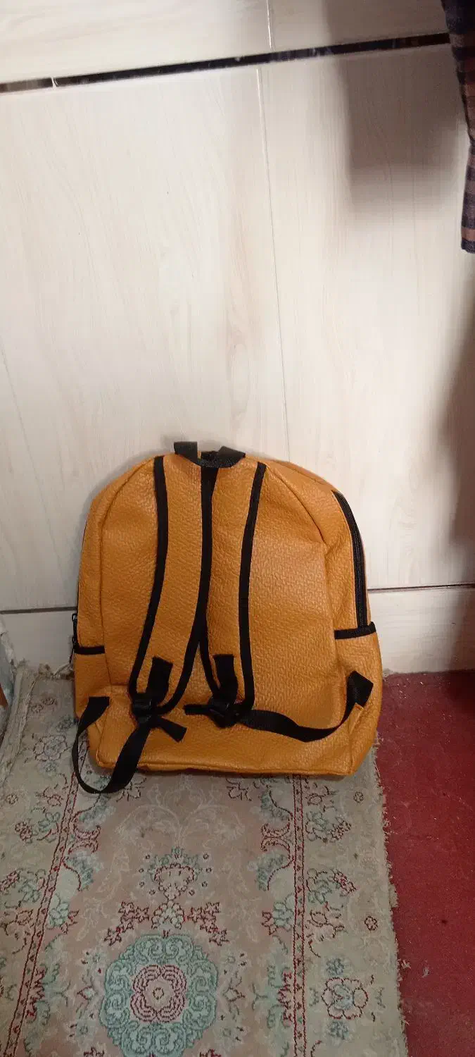 کیف جهت کتاب مدارس نو نو نو اصلا استفاده نشده|کیف، کفش، کمربند|شهرضا, |دیوار