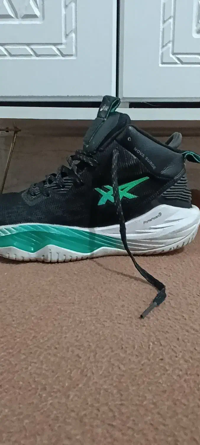 کفش والیبال|کیف، کفش، کمربند|اندیمشک, |دیوار