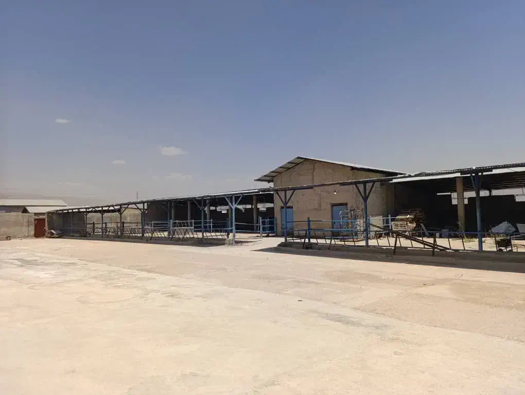 فروش گاوداری شیری صنعتی ۴۰۰۰ متری|فروش دفتر صنعتی، کشاورزی، تجاری|شیراز, کوشک بیدک|دیوار