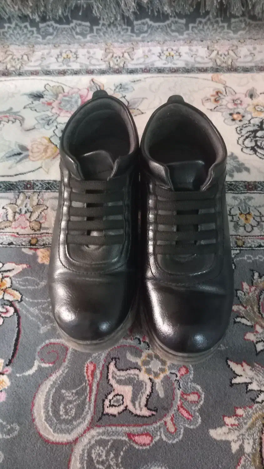 دوجفت کفش مجلسی ویک جفت نیم پوت زنانه|کیف، کفش، کمربند|تربت‌حیدریه, مظفریه|دیوار