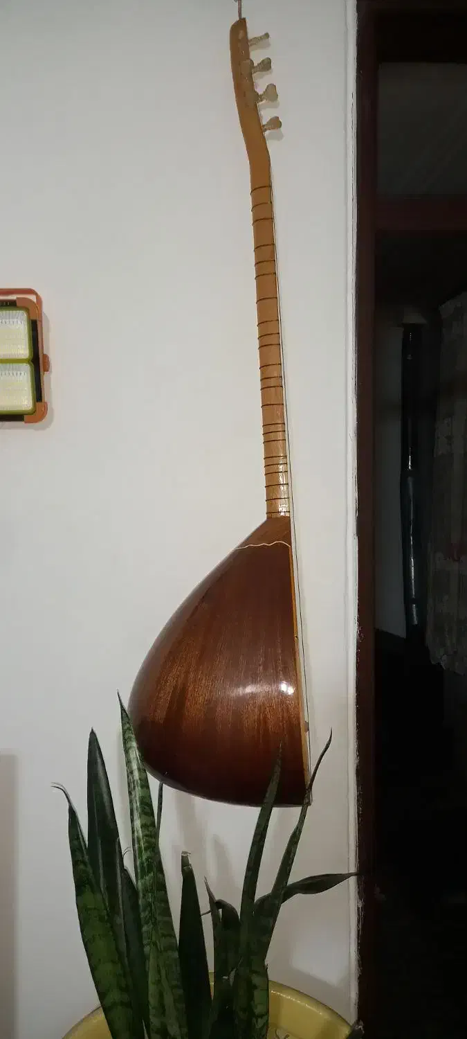 ساز دیوان ترکYLMAz|سازهای سنتی|سنندج, |دیوار