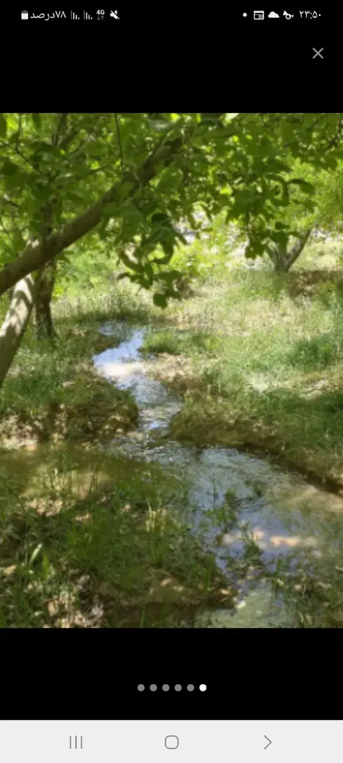 گاوبندی وپلواربندی مشغول بکاردر فلارد کلواری|فروش دفتر صنعتی، کشاورزی، تجاری|لردگان, |دیوار