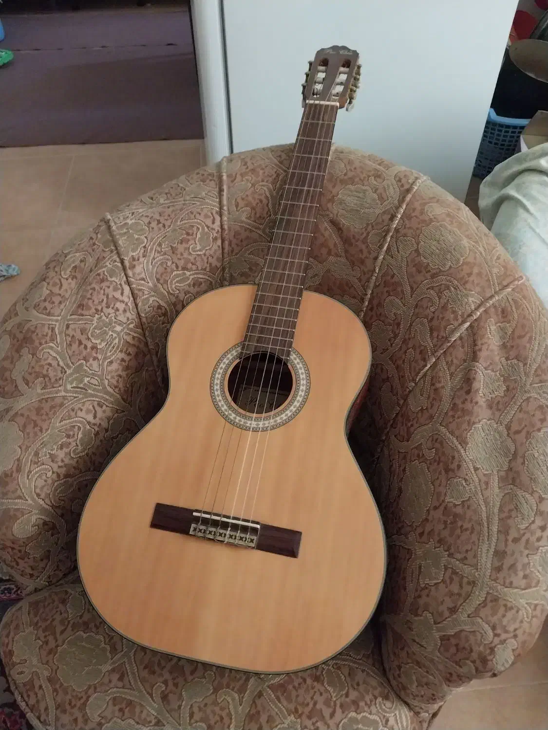 گیتار مارک اصل پایوچیا|گیتار، بیس، امپلیفایر|گرگان, |دیوار