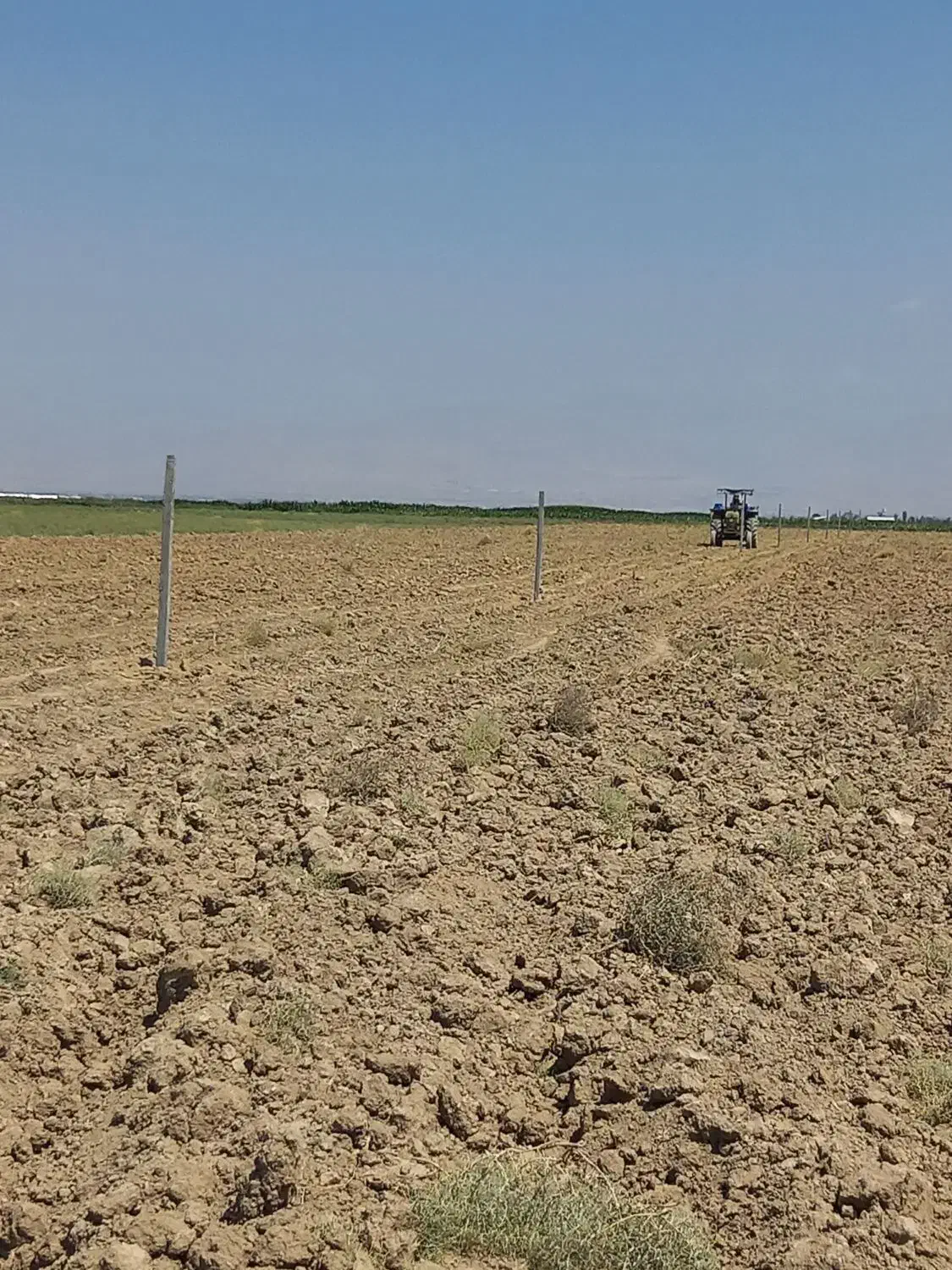 زمین یک هکتاری قولنامه ای در نجم آباد|فروش دفتر صنعتی، کشاورزی، تجاری|نظرآباد, نجم آباد|دیوار