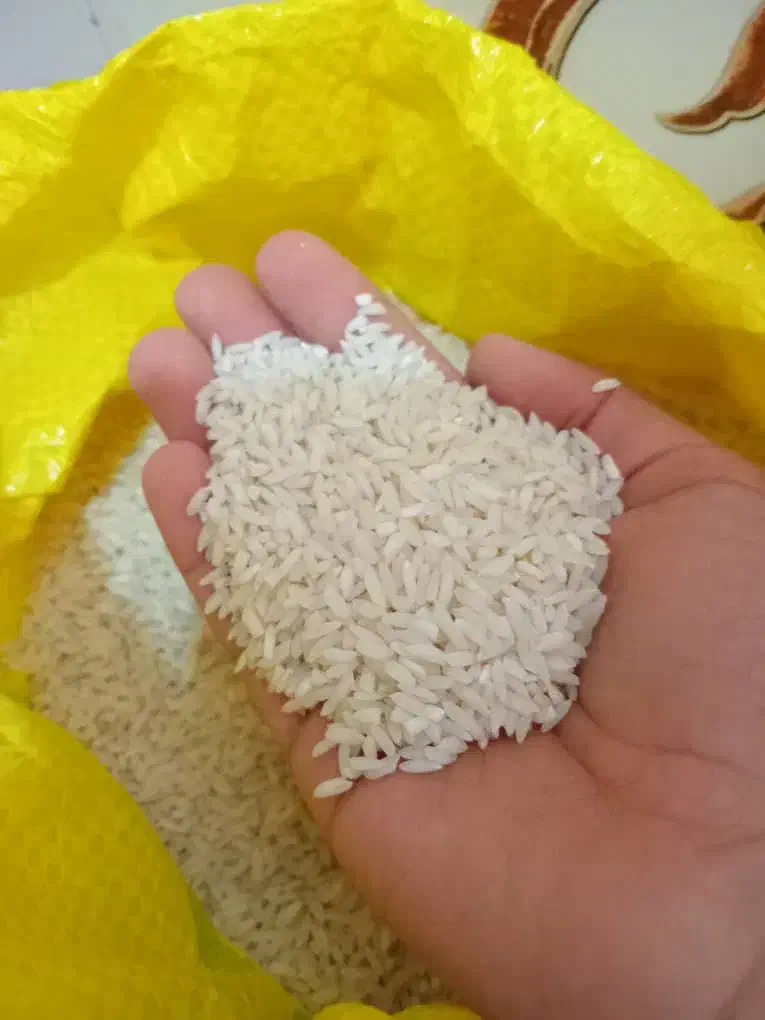 دوکیسه برنج عنبربو|خوردنی و آشامیدنی|شوشتر, |دیوار
