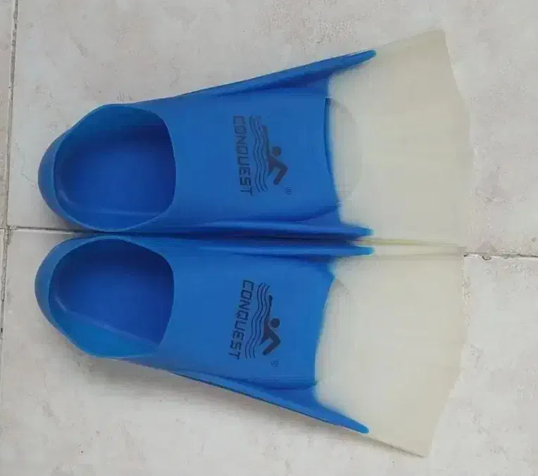 فین شنا|غواصی و ورزش‌های آبی|گرگان, |دیوار