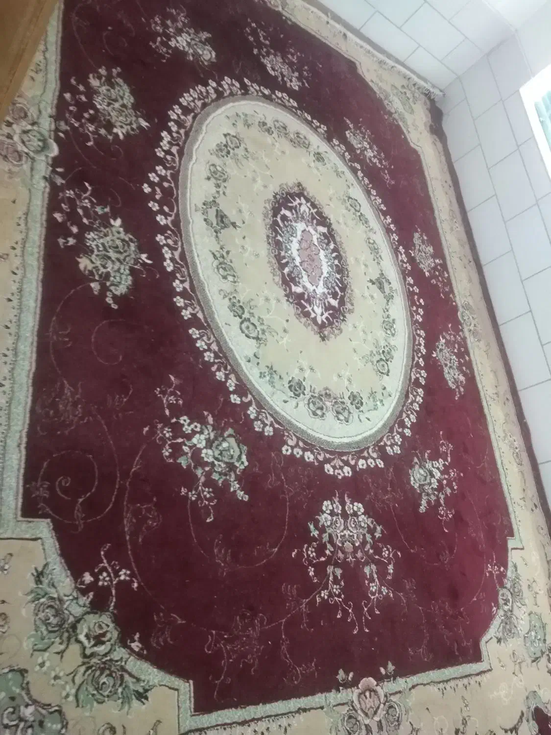 فروش فرش|فرش|فسا, |دیوار