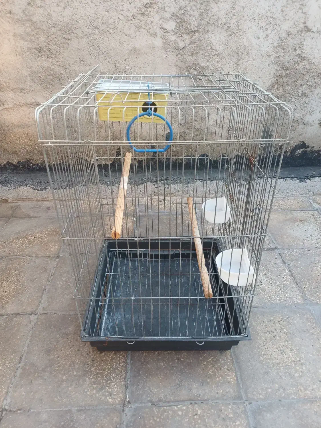 قفس عروس هلندی|پرنده|پاکدشت, پاکدشت (مامازند)|دیوار