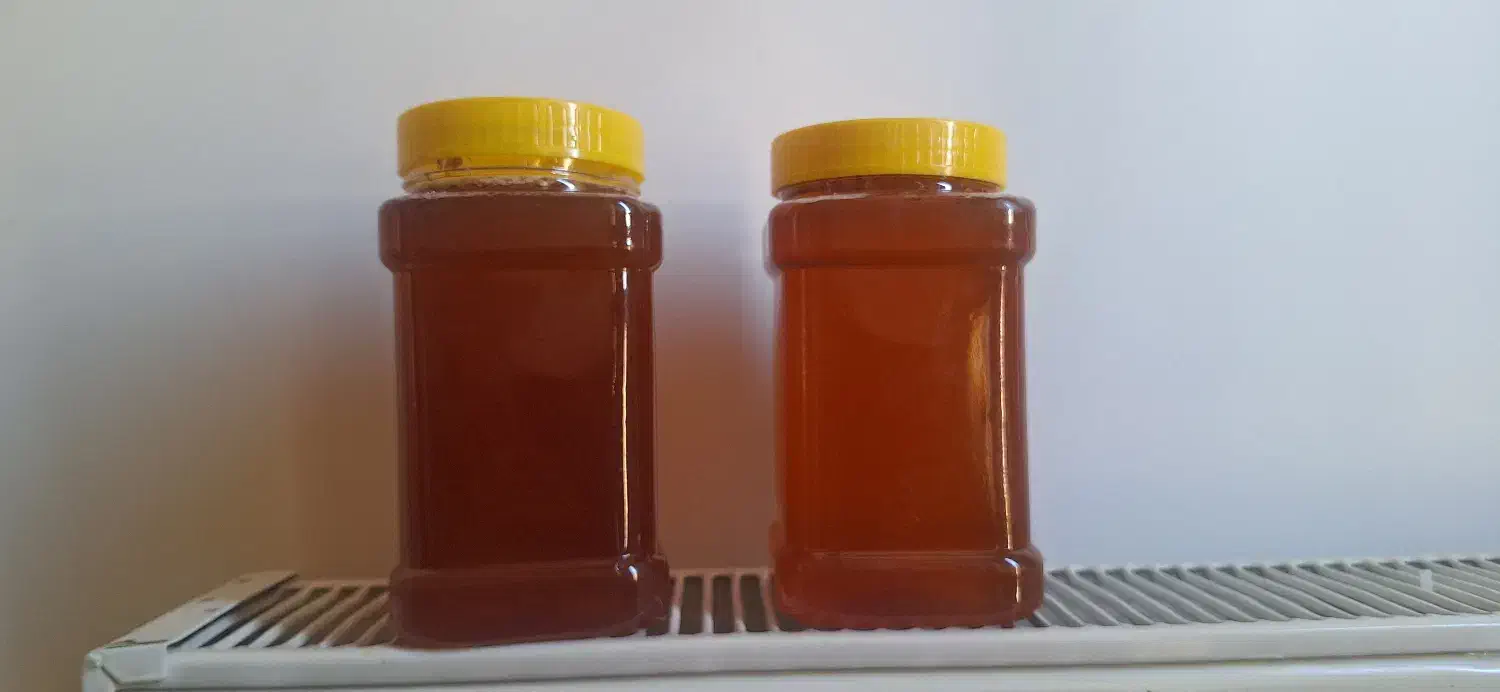 عسل طبیعی و با کیفیت|خوردنی و آشامیدنی|تهران, جمهوری|دیوار