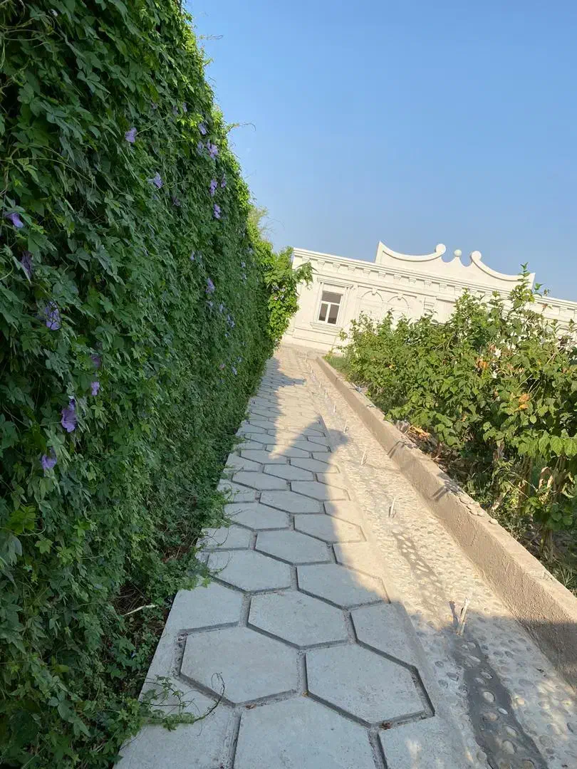 اجاره ویلا باغ آبگرم|اجارهٔ کوتاهمدت ویلا و باغ|شوشتر, |دیوار